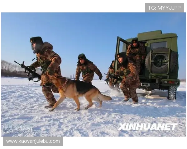 北京攀岩队防守表现分析与战术调整探讨 北京攀岩队防守表现分析与战术调整探讨
