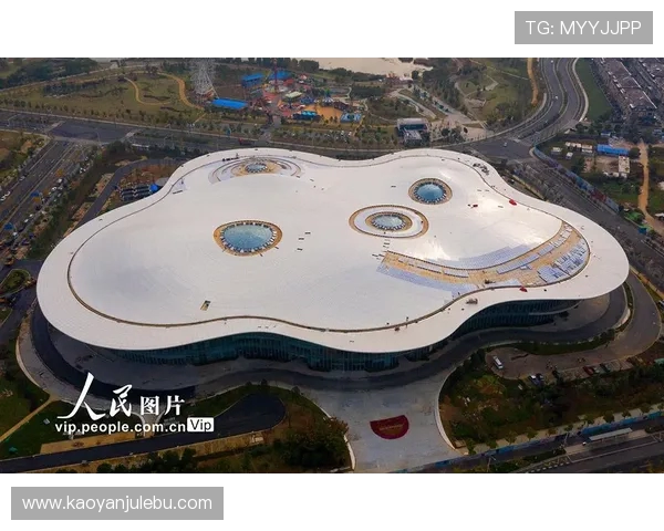 武汉极限运动队与南京极限运动队赛后复盘分析及经验总结