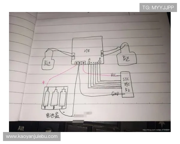 基于ViperADC架构的高精度低功耗模数转换系统设计与优化研究 基于ViperADC架构的高精度低功耗模数转换系统设计与优化研究