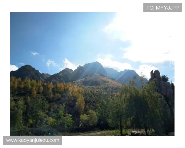 360库尔德人对阵赫根的精彩对决分析与赛后点评